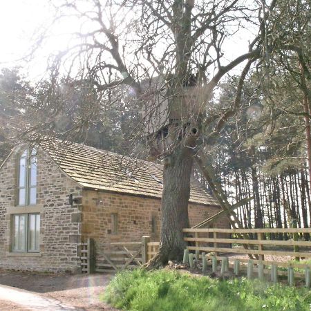 The Bothy House Villa Berwick Hill Exterior photo